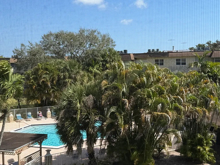 View from patio