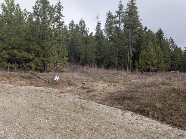 L3 Contour Ln, Athol, ID 83801