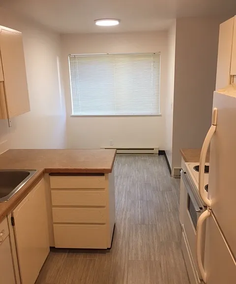 All kitchen have stove, refrigerator, and dishwasher. Some kitchen have porcelain floors
