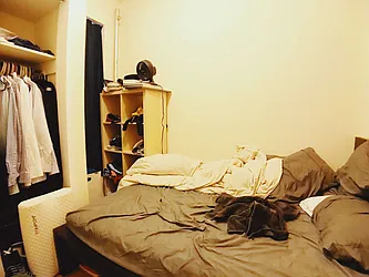 Rented by Bold New York