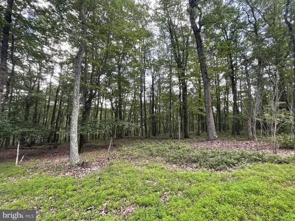 124 Spring Mountain Dr, Zion Grove, PA 17985