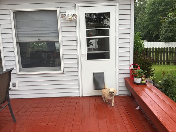 Doggy door