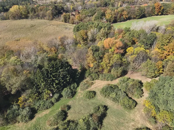 11800 Territorial Rd, Munith, MI 49259