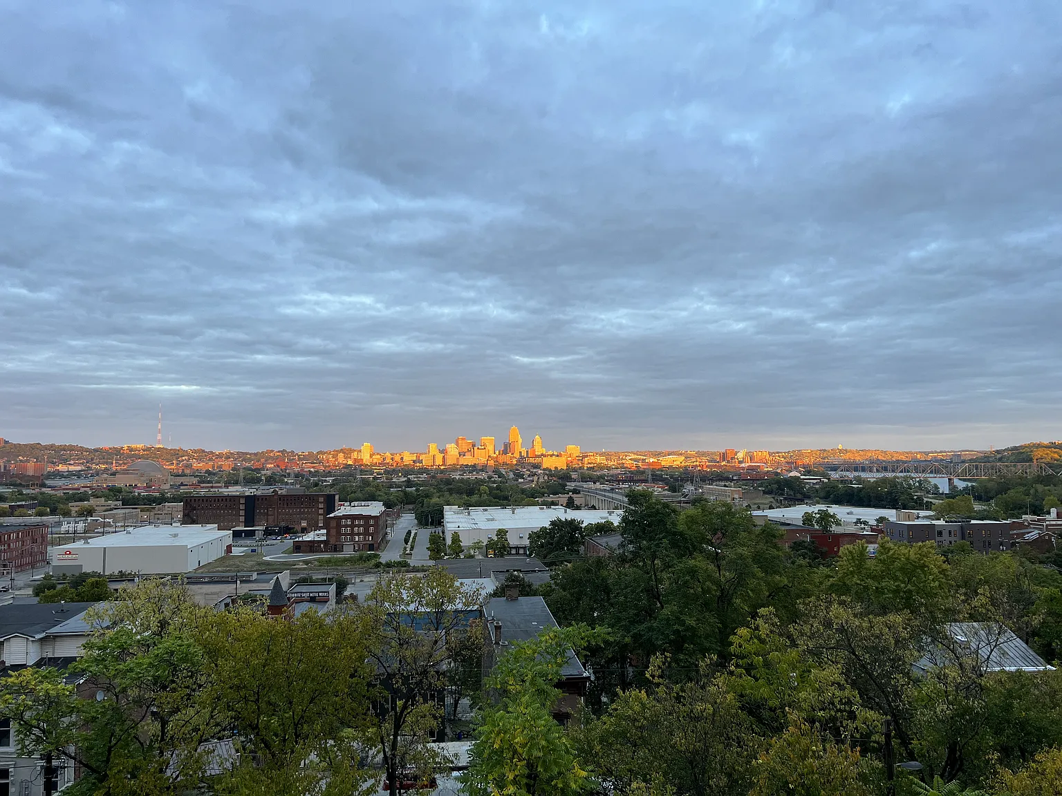 1 bed, 1300 sqft, $2,300 — Photo 2