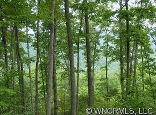 60 Smokey Ridge Trl, Arden, NC 28704