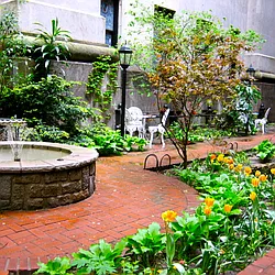 Rented by TurfNYC