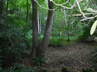 0 Laurel Branch Rd, Sylva, NC 28779