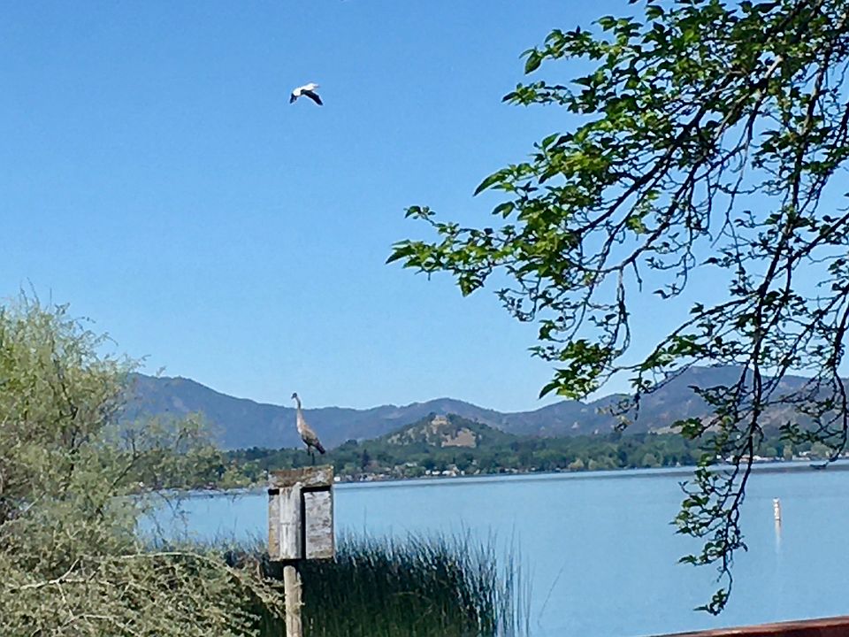 Lake View