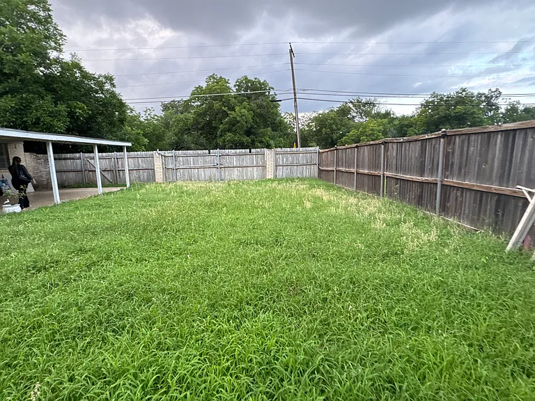 Back yard