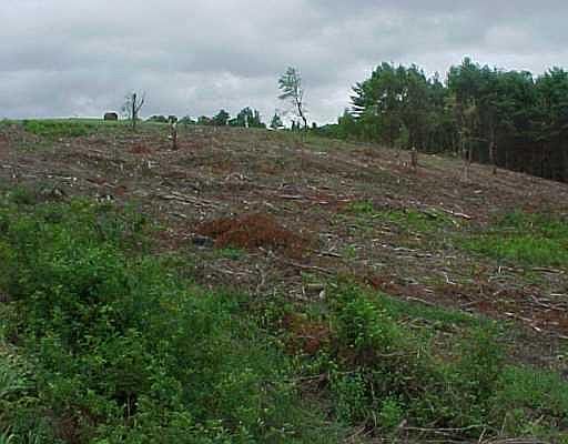 5th image of 99 Mitchell Hill Road