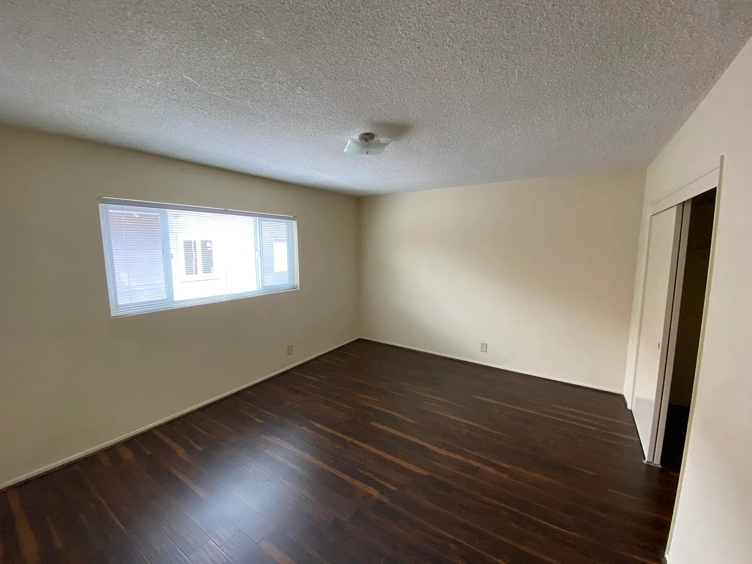 1 bed, 560 sqft, $1,695 — Photo 3