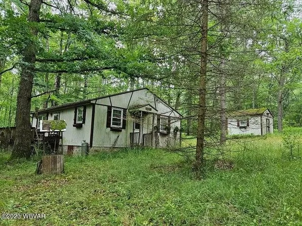 59 Poor Farm Ln, Cross Fork, PA 17729