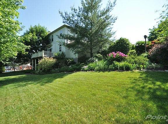 5 backyard