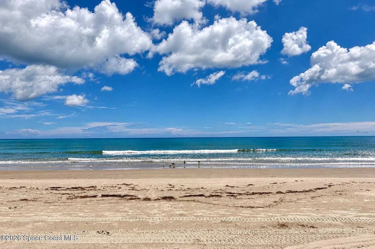 2 bed, 2.0 bath, 1048 sqft, $3,800 — Photo 3