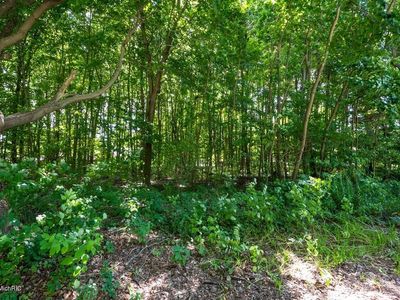 4099 Evergreen Ln, Benton Harbor, MI, 49022