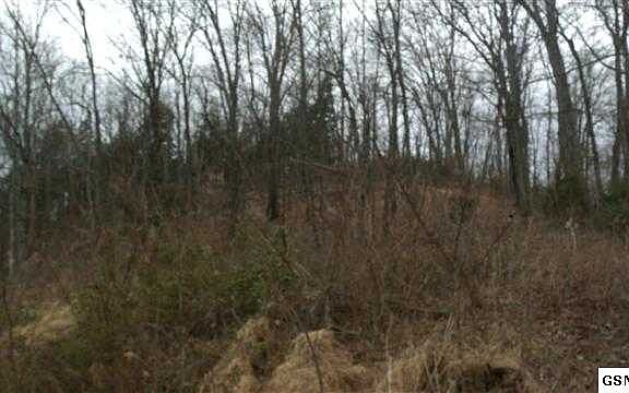 4th image of 310 Woodlark Way