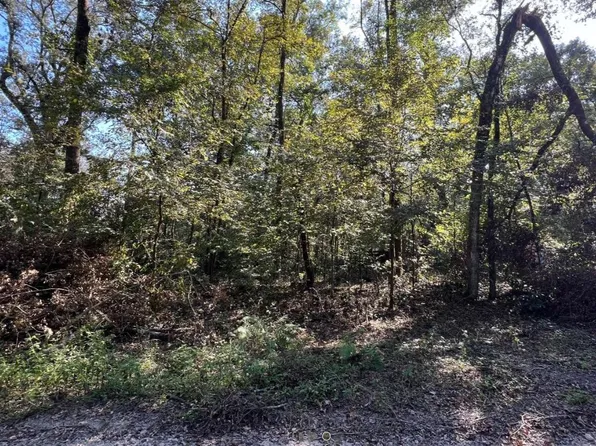 290th Ter Lot 6, Branford, FL 32008