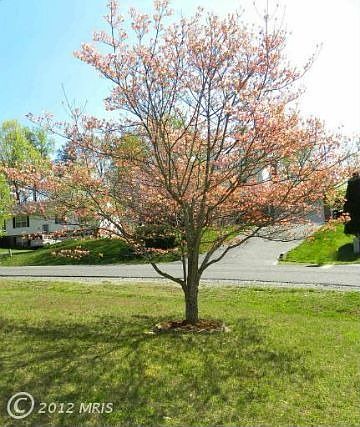 3rd image of 38 Larkwood Ct