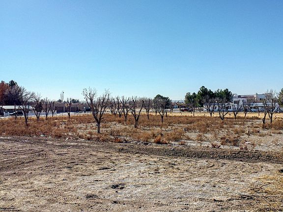 2nd image of 516 Cocula Ave