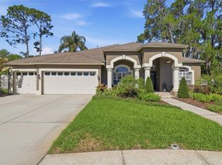 3629 Whistling Ln, Land O Lakes, FL 34639