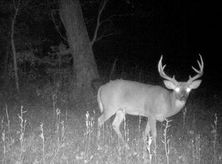 123 County Road 242, Morrison, MO 65061