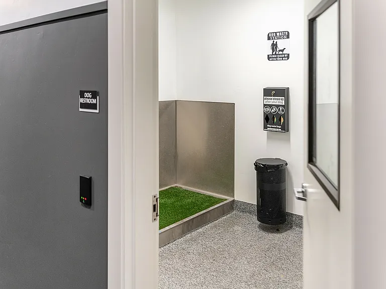 Indoor Dog Station 2