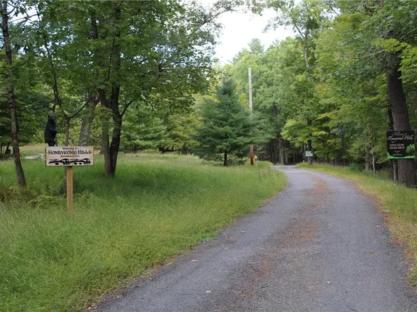 TBD Lots 1-4 Beehive Road, Rochester, NY 12404
