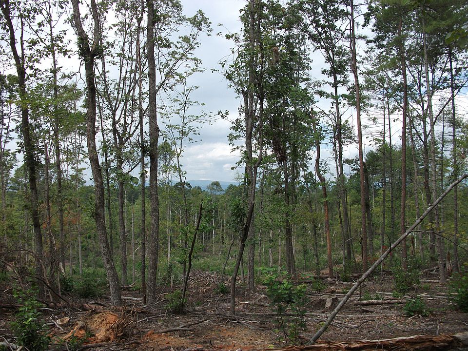 1st image of 0 Bridlewood Lane
