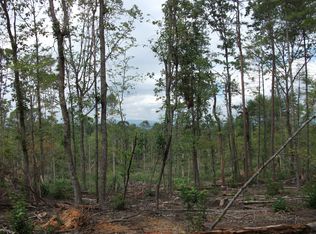 0 Bridlewood Lane, morganton nc, NC 28655