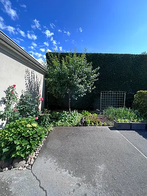 Rented by TORNADO REALTY LLC | media 17