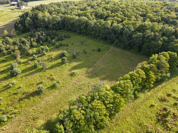 Reed Rd Lot 3, Friendship, NY 14739