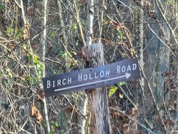 4th image of 0 Birch Hollow Rd Lot 12