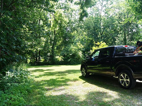 Back yard