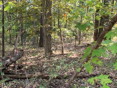 Glenwood Ln, Bella vista, AR, 72715