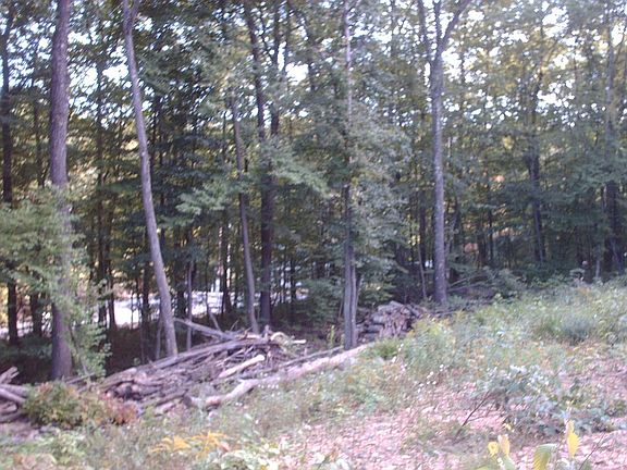 5th image of 13587 S Route 44 Hwy