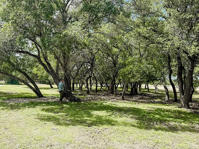 415 County Road 284 — Photo 35