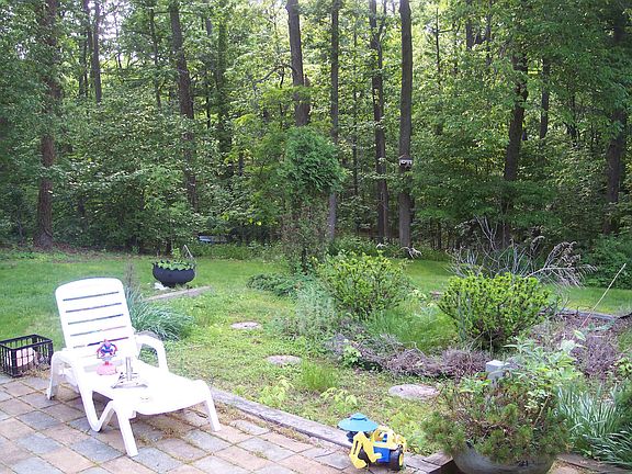 Backyard 2