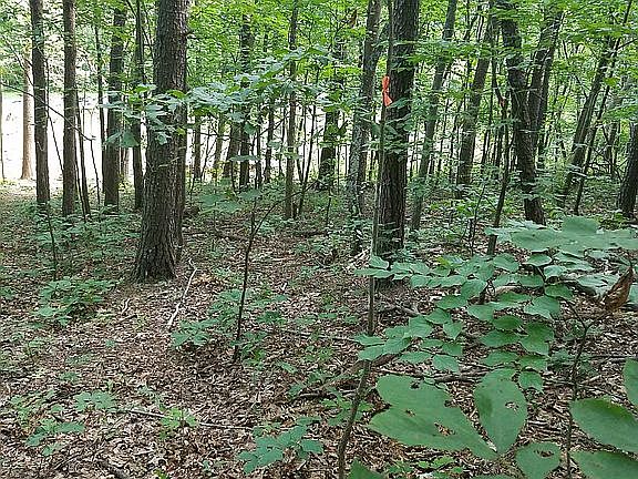 4th image of 783 Stuples Hollow Ln
