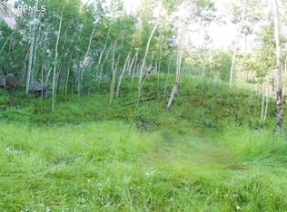 472 Buckhorn Rd, Cripple Creek, CO 80813