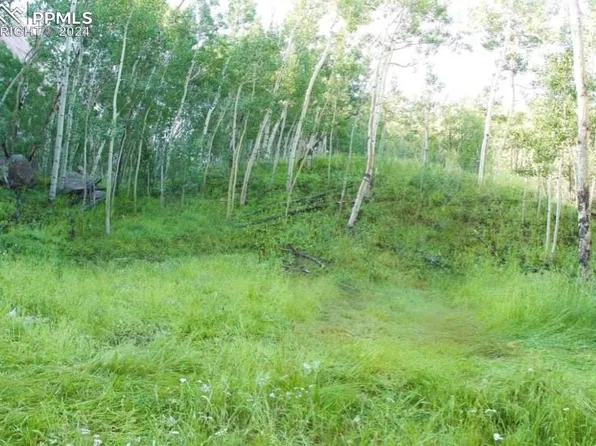 472 Buckhorn Rd, Cripple Creek, CO 80813