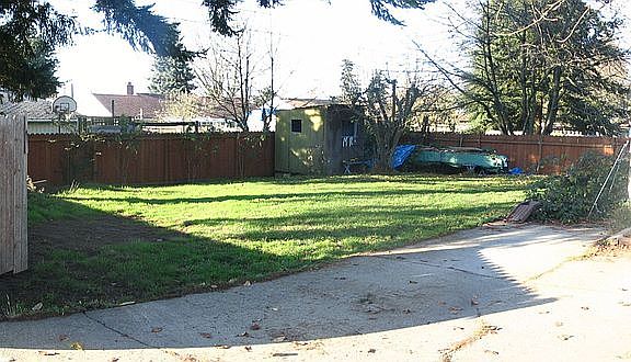 Back Yard Panarama (from NE 170th St)
