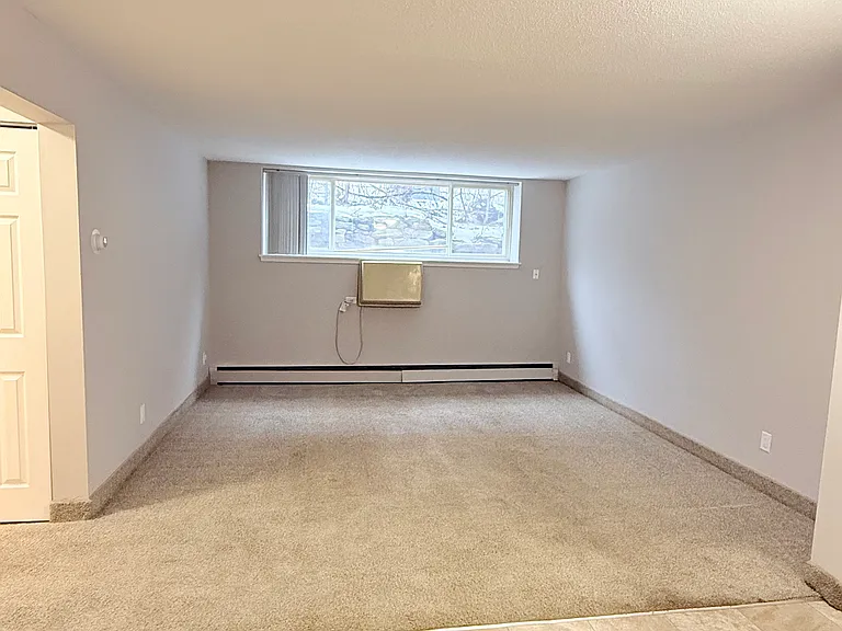 Pine Tree Park Apartments — Photo 15