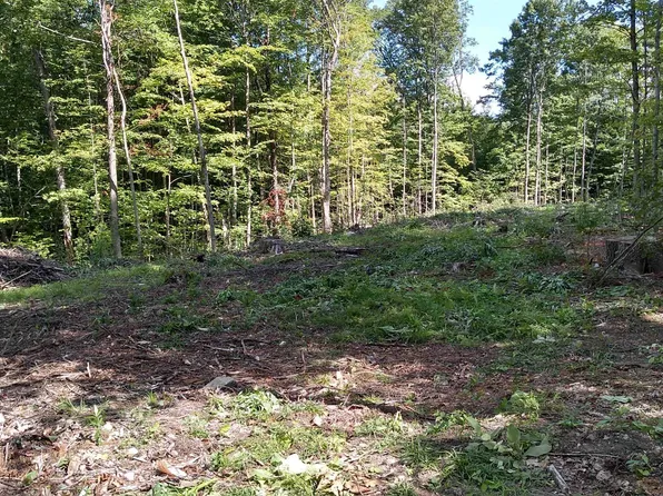 TBD Lower Plains Road #4, Salisbury, VT 05769