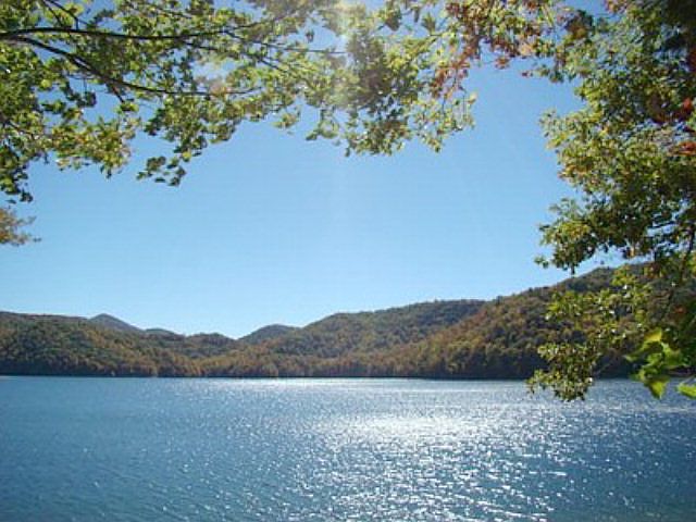 view from deck