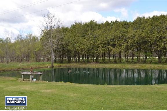 Pond on property