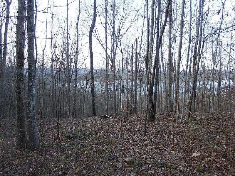 1st image of 17 Nickajack Trce #17