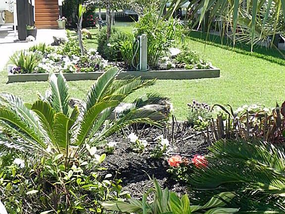 Tropical Garden.