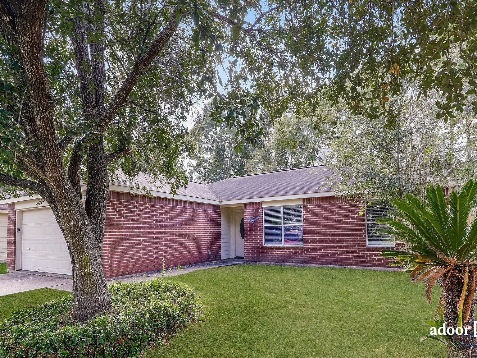 3 bed, 2.0 bath, 1264 sqft, $1,575 — Photo 2