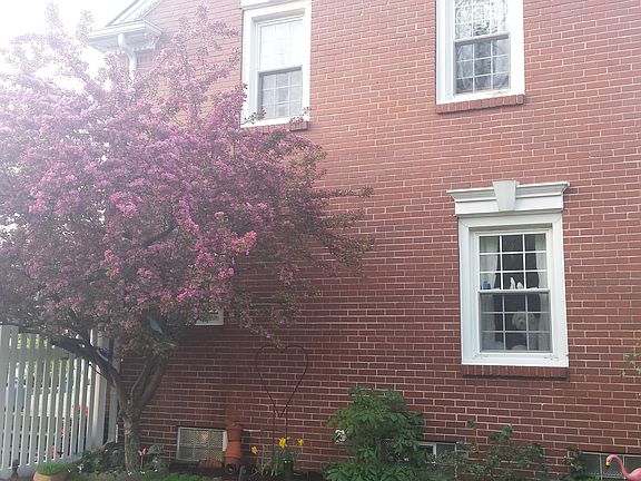 Spring Blooms