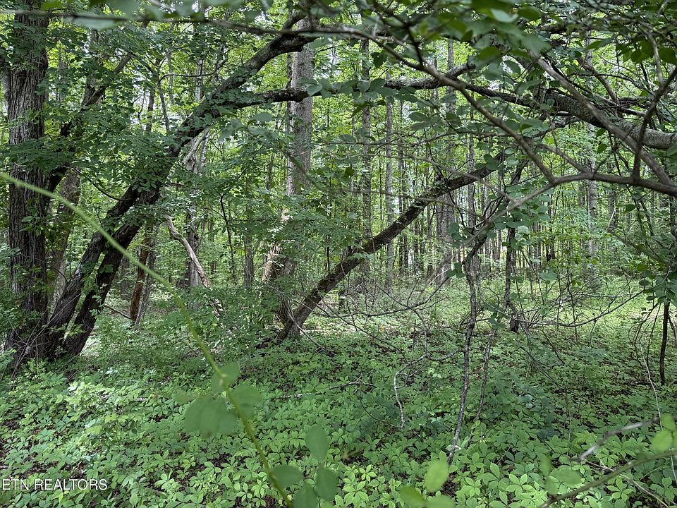 1st image of 0 Lollar Dr Lot 30